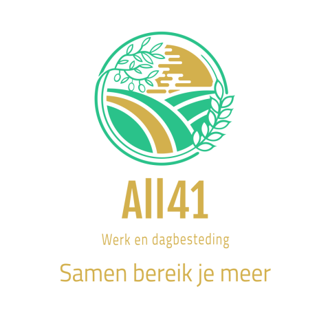 logo all41